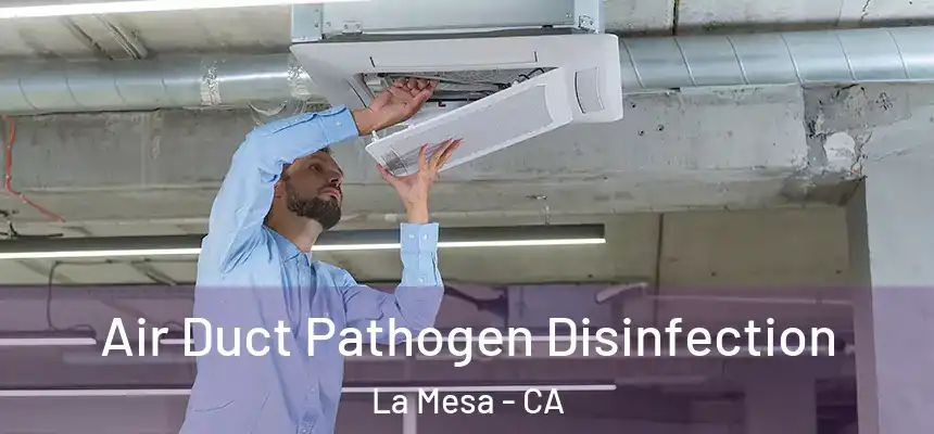 Air Duct Pathogen Disinfection La Mesa - CA