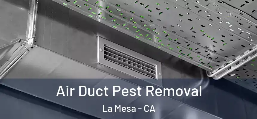 Air Duct Pest Removal La Mesa - CA