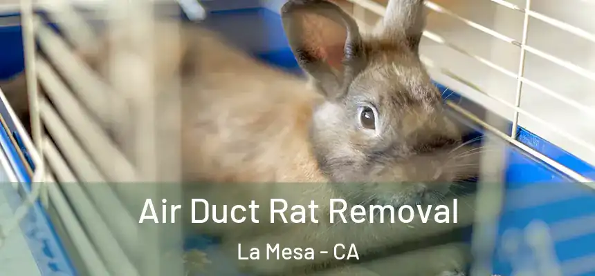  Air Duct Rat Removal La Mesa - CA