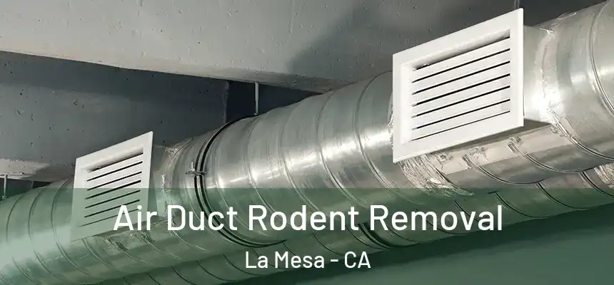  Air Duct Rodent Removal La Mesa - CA