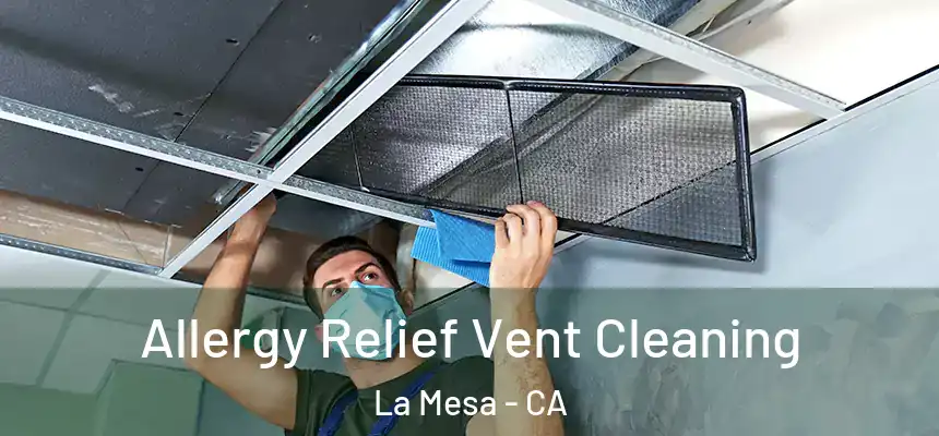  Allergy Relief Vent Cleaning La Mesa - CA