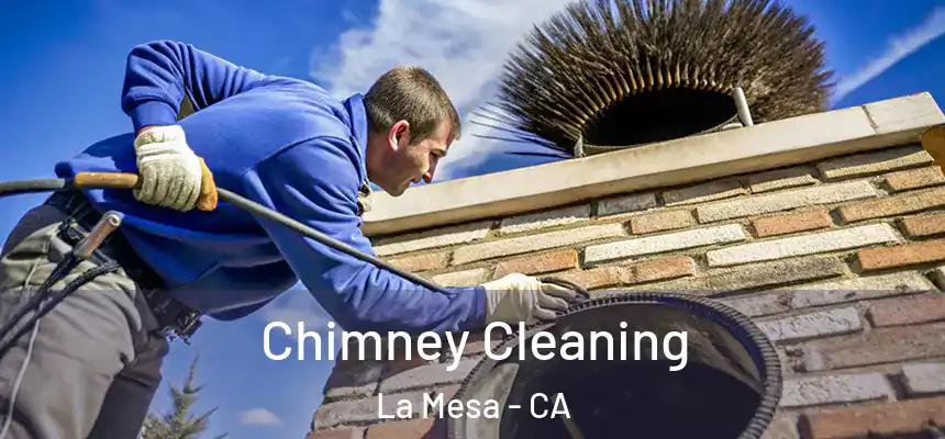Chimney Cleaning La Mesa - CA