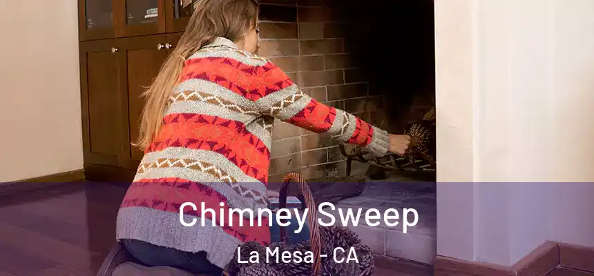 Chimney Sweep La Mesa - CA