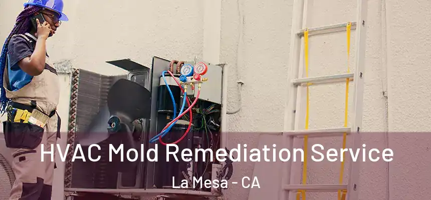 HVAC Mold Remediation Service La Mesa - CA