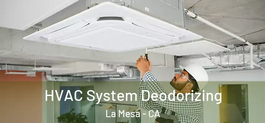 HVAC System Deodorizing La Mesa - CA