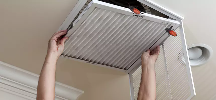 Preventive Cockroach-Proofing for Ducts in La Mesa