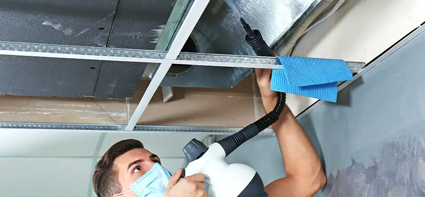 Our Air Duct Rodent Removal Services in La Mesa, CA
