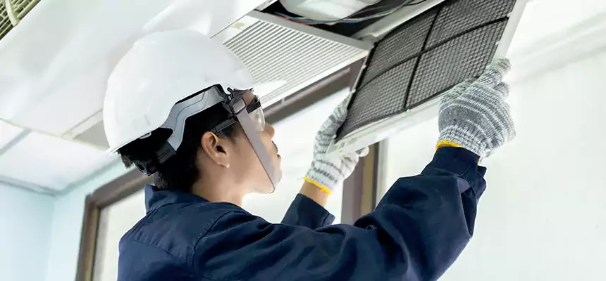 Our Mold & Mildew Removal from Air Ducts Services in La Mesa, CA