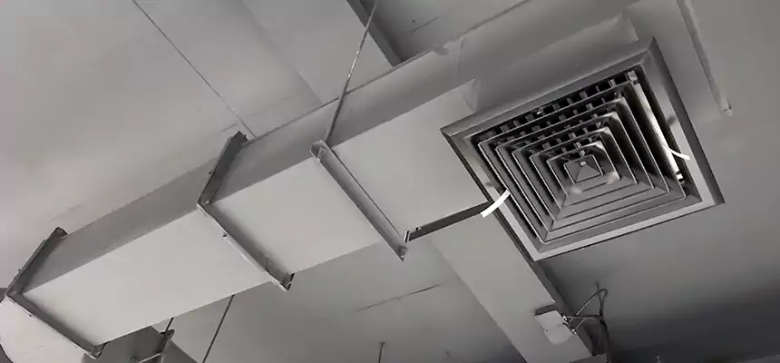 Our Pest Removal From Ducts Services in La Mesa, CA