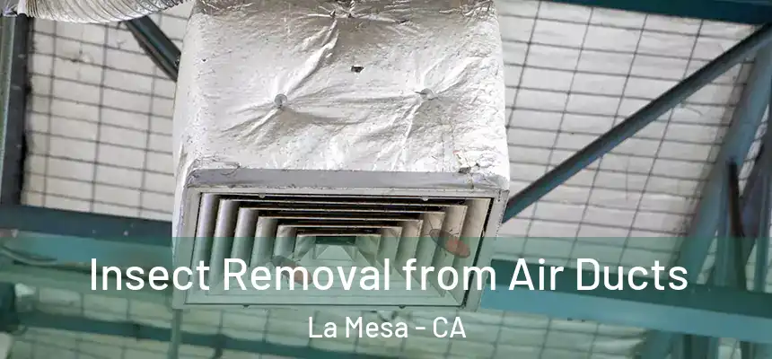Insect Removal from Air Ducts La Mesa - CA