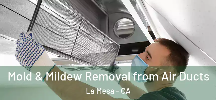  Mold & Mildew Removal from Air Ducts La Mesa - CA