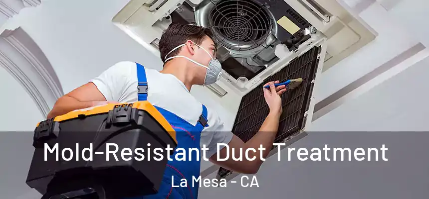 Mold-Resistant Duct Treatment La Mesa - CA