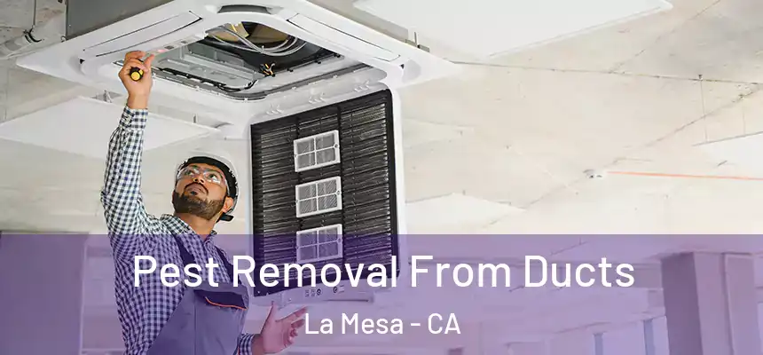 Pest Removal From Ducts La Mesa - CA