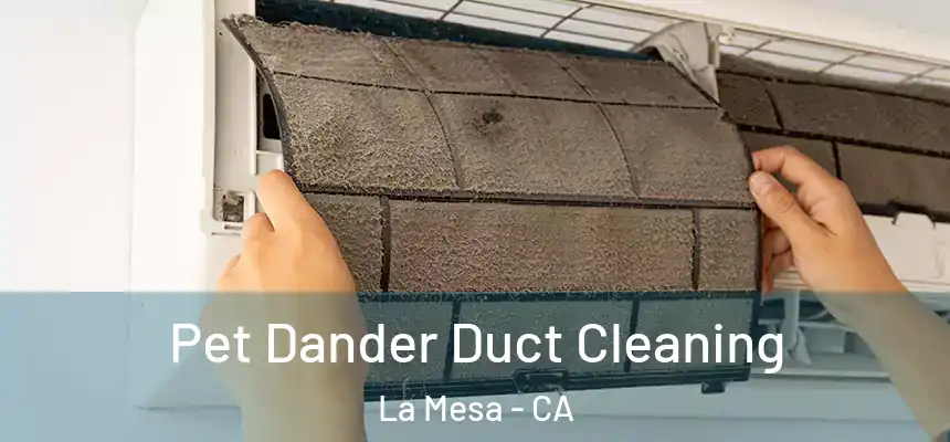 Pet Dander Duct Cleaning La Mesa - CA
