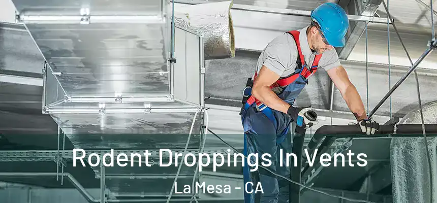  Rodent Droppings In Vents La Mesa - CA