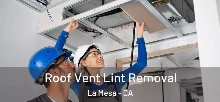 Roof Vent Lint Removal La Mesa - CA