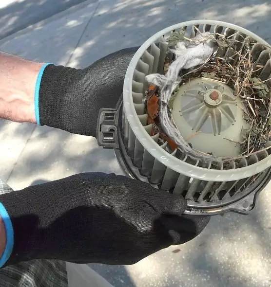 About Air Duct Rat Removal in La Mesa, CA