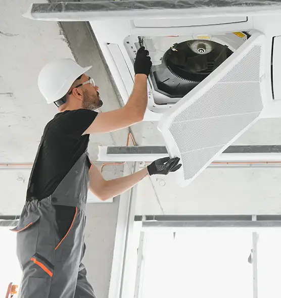 About Air Duct Rodent Removal in La Mesa, CA