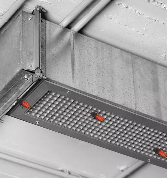 Affordable Insect Removal from Air Ducts in La Mesa, CA