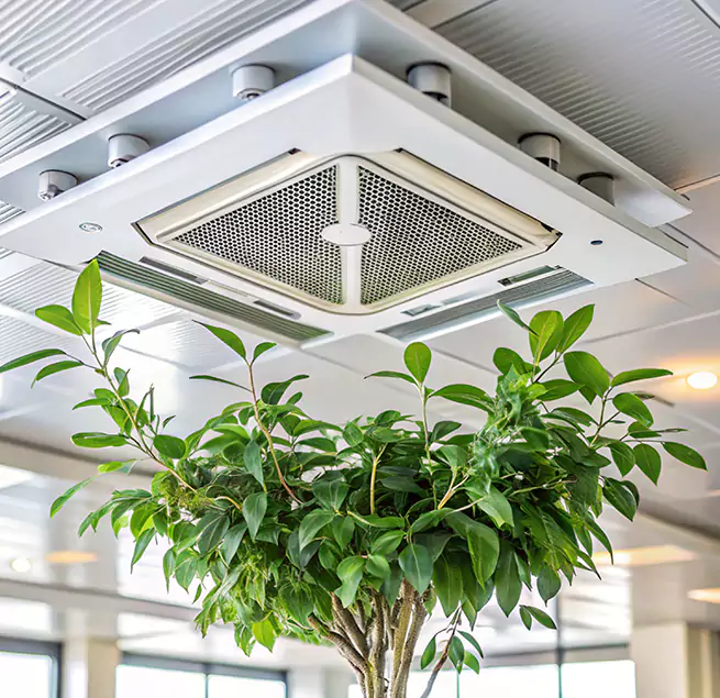 Why Homeowners & Businesses Trust Us in La Mesa, CA?