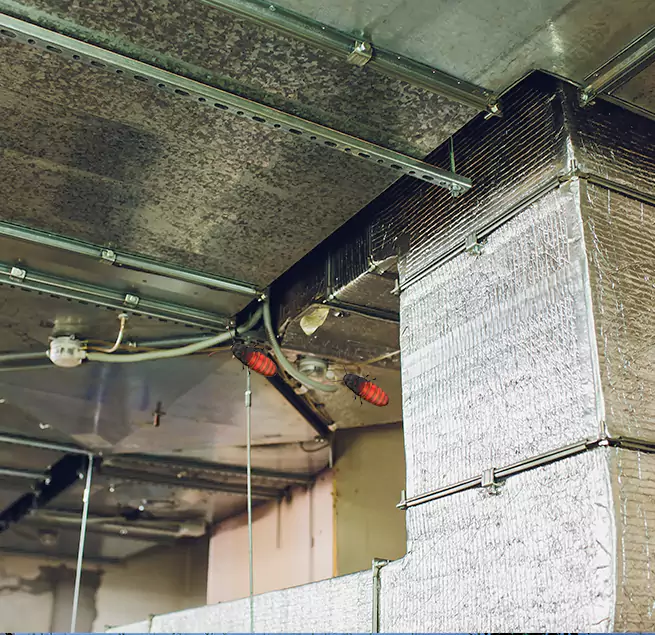 Why Homeowners & Businesses Trust Us La Mesa, CA?