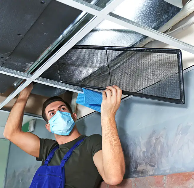 Why Homeowners & Businesses Trust Us in La Mesa, CA?